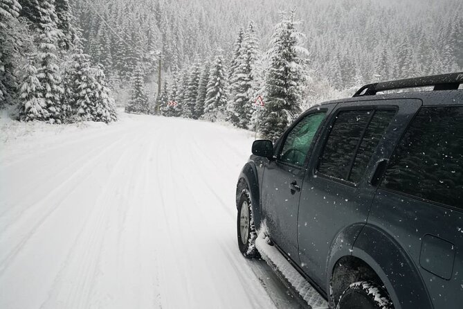 1 Day 4x4 Tour in Carpathian Mountains - Who will enjoy this most