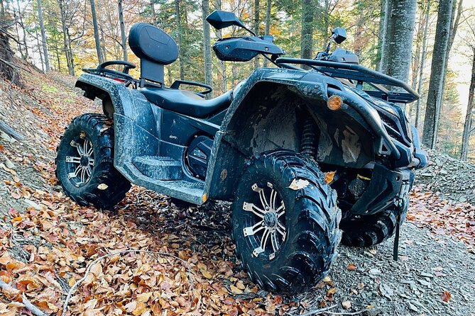 1 Day ATV Tour in Carpathian Mountains - Peles Castle and Romania’s royal past