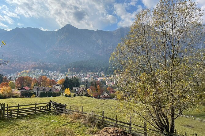 1 Day ATV Tour in Carpathian Mountains - Timing, comfort, and practical limits