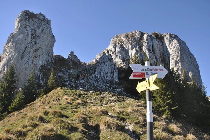 1 day CARPATHIAN PEAKS & CHALETS hike - A mountain day beyond Brasov’s old town
