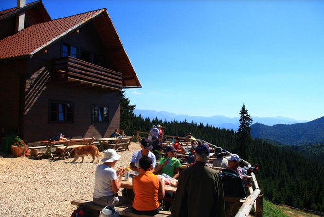 1 day CARPATHIAN PEAKS & CHALETS hike - Zărnești Gorges and the rocky canyon route