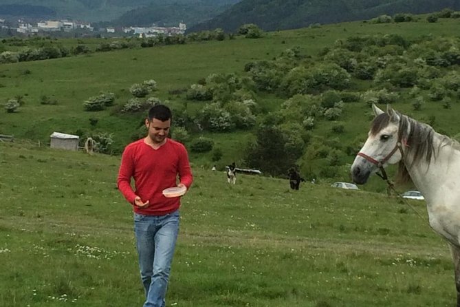 2 Days Private Tour Transfagarasan Road & Sibiu from Bucharest - Transfagarasan Highway: the main event on day one