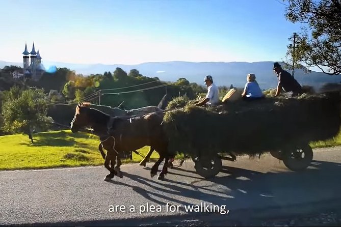 2 Days Private Tour Transfagarasan Road & Sibiu from Bucharest - Day one: Curtea de Arges sets the historical tone