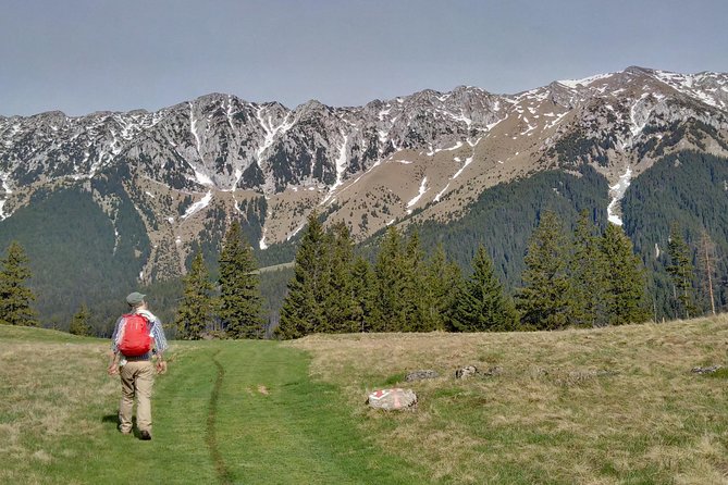 4-Day Carpathian Trek: Bucegi Mountains and Piatra Craiului National Park - What the four days are really like