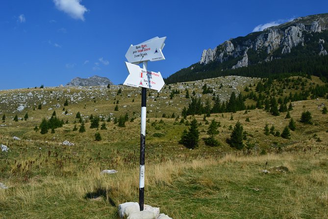 4-Day Carpathian Trek: Bucegi Mountains and Piatra Craiului National Park - Why the guide matters on these trails