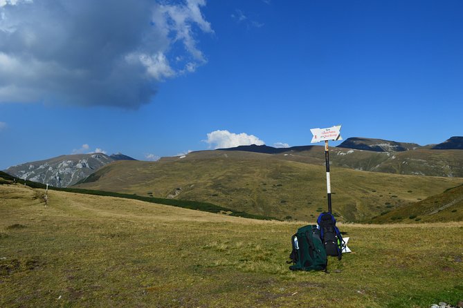 4-Day Carpathian Trek: Bucegi Mountains and Piatra Craiului National Park - Guesthouses, meals, and what is included