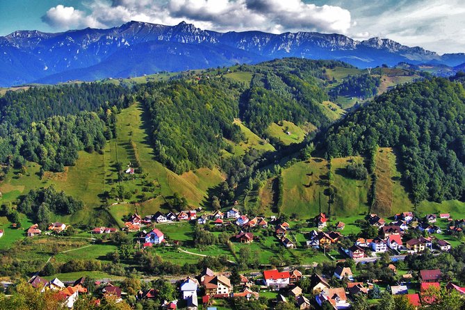 4 Days Private Tour in Transylvania: Sibiu, Sighisoara and Brasov - Who should book this Transylvania tour?