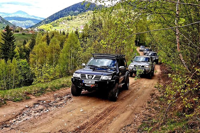 4x4 Nature Tour in Land of Dracula - 1 day - Comfort, safety, and who will enjoy it