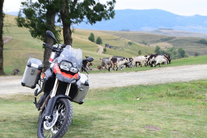 7 Day Best of Transylvania Motorcycle Tour from Cluj - Day six: Vlad’s fortress, a monastery, and Transalpina