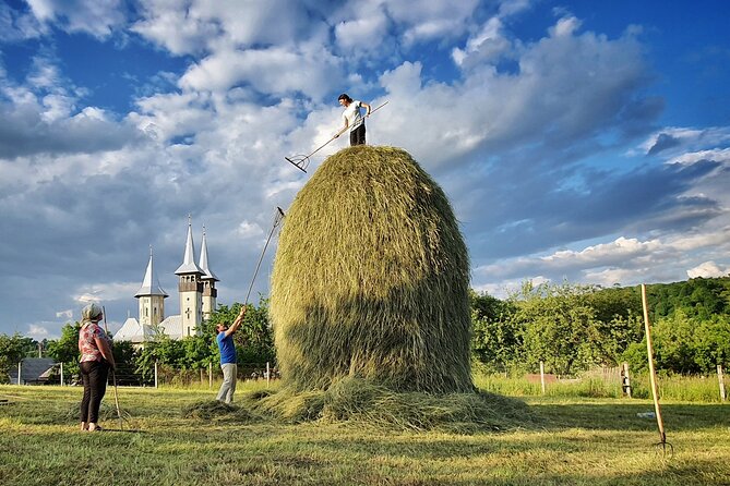 A Journey Back in Time: Countryside from Transylvania and Maramures - 15 Days - Bran Castle, Rasnov, and rescued bears