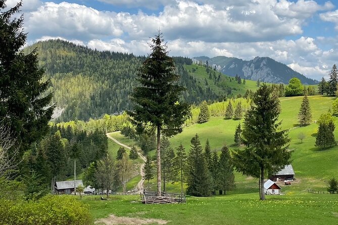 Adventure day trip from Iasi | Hiking in the Carpathian Mountains - What is included, and what you need to bring