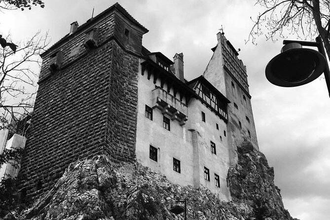 Bear Sanctuary and Bran Castle from Brasov - What Alin adds to the day