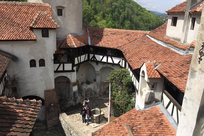 Bear Sanctuary and Bran Castle from Brasov - Who should book this experience