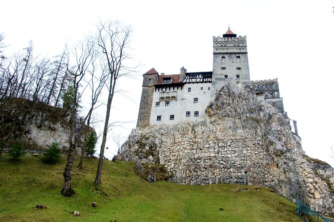 Bear Sanctuary and Bran Castle from Brasov - Bran Castle beyond the Dracula label