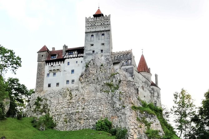 Bear Sanctuary and Dracula's Castle, 1-day Private Tour - Who will enjoy this day most
