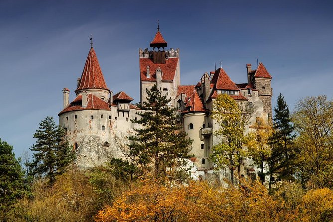 Bear Sanctuary, Bran (Dracula) Castle, Peles Castle From Brasov - Starting from Brasov with Vlad or Vali