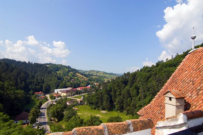 Bear Sanctuary, Bran (Dracula) Castle, Peles Castle From Brasov - What the $132.53 price really covers