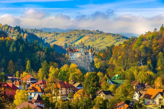 Bear Sanctuary, Bran (Dracula) Castle, Peles Castle From Brasov - Libearty Bear Sanctuary: a thoughtful first stop