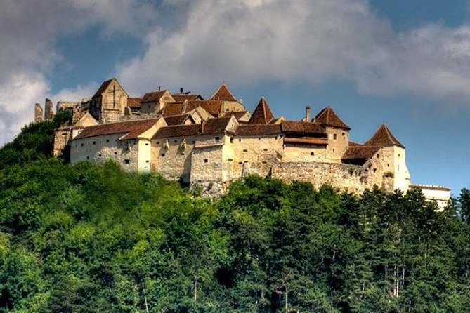 Bear Sanctuary & Rasnov Fortress - Private day tour from Bucharest - Should you book the Bucharest to Zarnesti and Rasnov day trip?