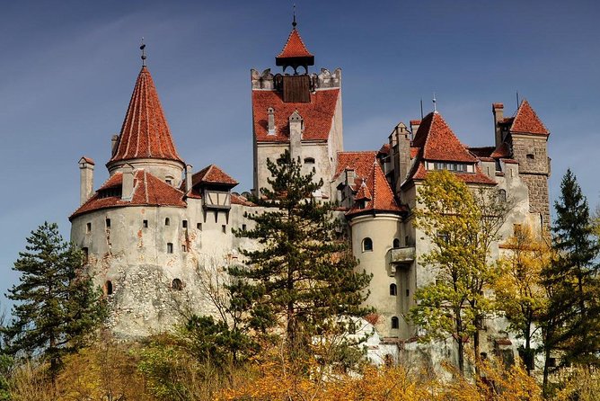 Bear Sanctuary Zarnesti,Bran Castle,Rasnov Fortres w/Hotel pickup - Bran Castle and the Dracula connection