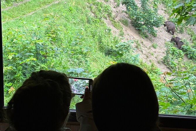Bear Watching In Brasov: Observe Wild Bears From A Hideout (100%) - Why this bear-watching trip works