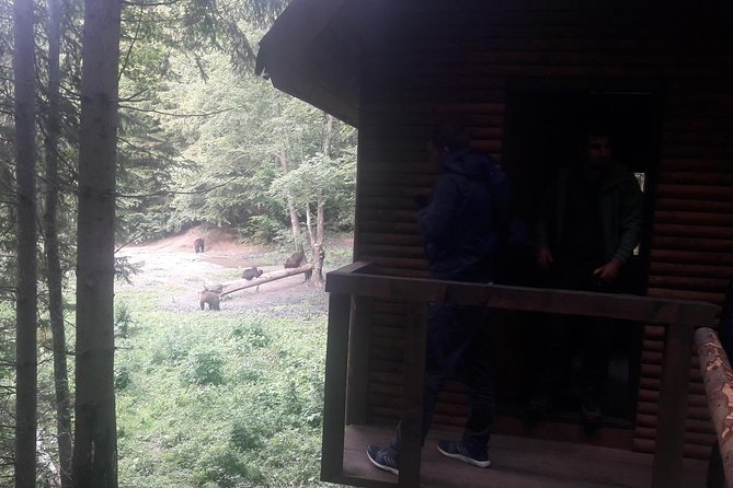 Bear Watching in The Wild from Brasov (100 %) - Getting dressed for a safe viewing