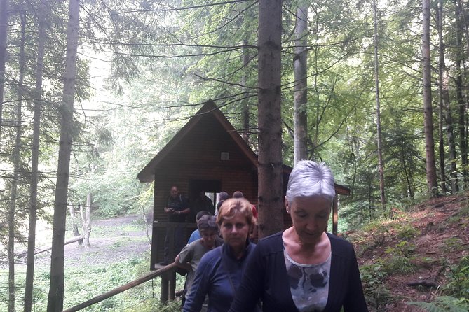 Bear Watching in The Wild from Brasov (100 %) - Is the close viewing worth the cost?
