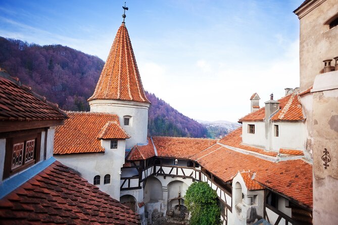 Bears Sanctuary, Dracula Castle and Poiana Brasov-Private day tour from Brasov - Why the private format matters