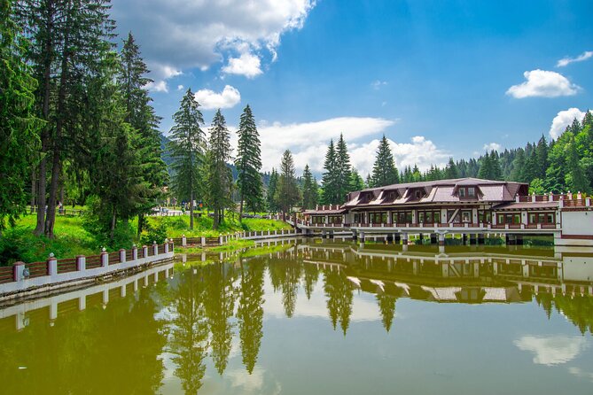 Bears Sanctuary, Dracula Castle and Poiana Brasov-Private day tour from Brasov - What the $98.64 price really covers