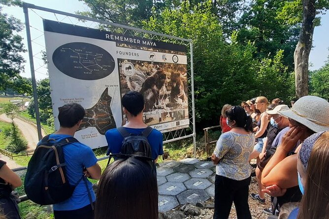 Bears Sanctuary, Dracula Castle and Poiana Brasov-Private day tour from Brasov - Practical details that affect your day