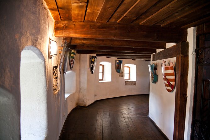Bears Sanctuary, Dracula Castle and Poiana Brasov-Private day tour from Brasov - Meeting rescued bears at Libearty Sanctuary