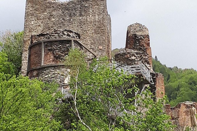 Bears Sanctuary, Dracula's Castle, Brasov Day Trip Private Tour from Bucharest - Price, timing, and what you really receive