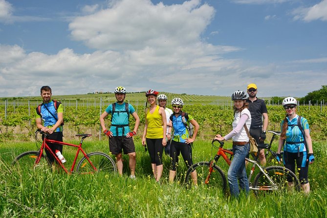 Bike & Wine tour in Dealu Mare wineland - Who will enjoy this most?