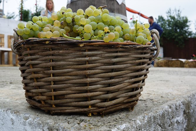 Bike & Wine tour in Dealu Mare wineland - Booking, weather, and cancellation details