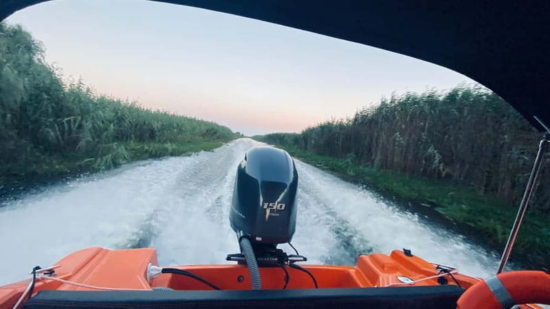 Boat Trip to Caraorman Forest – Danube Delta (6–7 hours) - Why this Danube Delta trip is worth your time