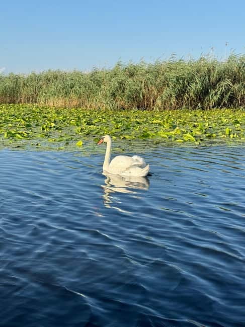 Boat Trip to Caraorman Forest – Danube Delta (6–7 hours) - Lake Uzlina and the local fishing routes