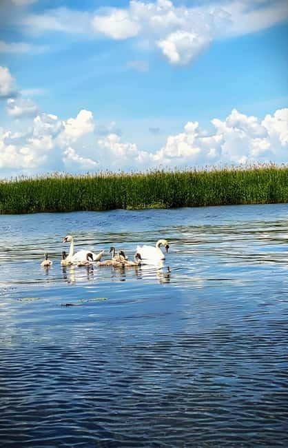 Boat Trip to Caraorman Forest – Danube Delta (6–7 hours) - What the $22 price really covers