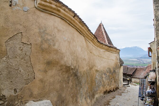 Bran Castle, Bear Sanctuary, and Rasnov Fortress Half Day Tour - Is $85 plus 37 euros a good value?