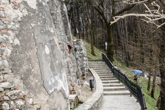 Bran Castle, Bear Sanctuary, and Rasnov Fortress Half Day Tour - Bran Castle turns history into Dracula theater