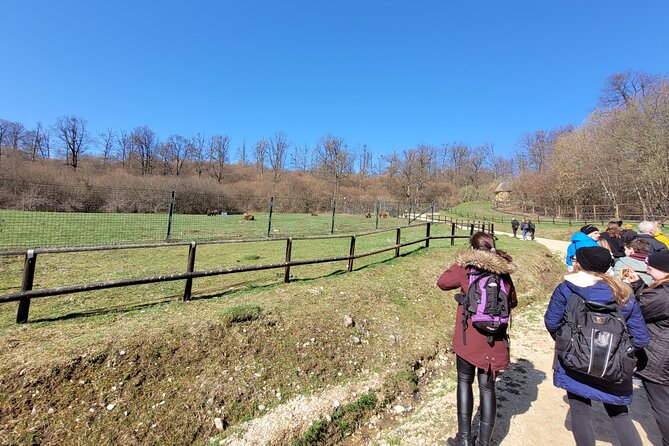 Bran Castle & Bear Sanctuary from Brasov - Optional Peles Castle - Entering Bran Castle, beyond the Dracula label