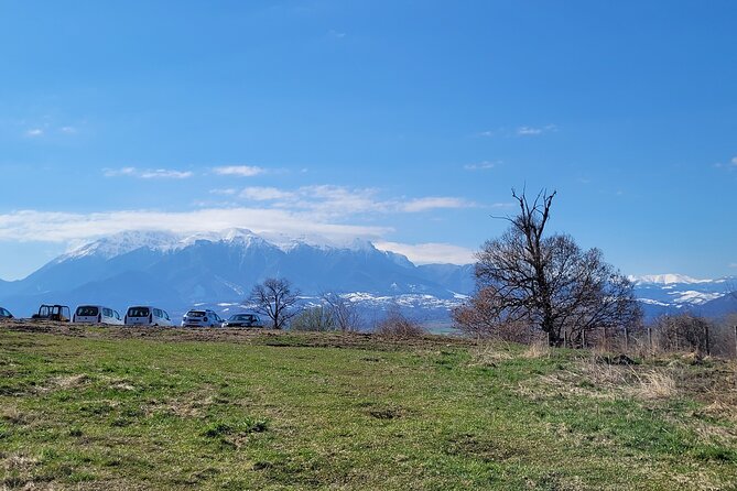 Bran Castle & Bear Sanctuary from Brasov - Optional Peles Castle - Should you book this Brasov tour?