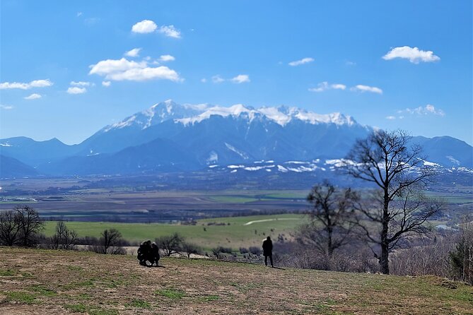 Bran Castle & Bear Sanctuary from Brasov - Optional Peles Castle - What makes Libearty Bear Sanctuary different