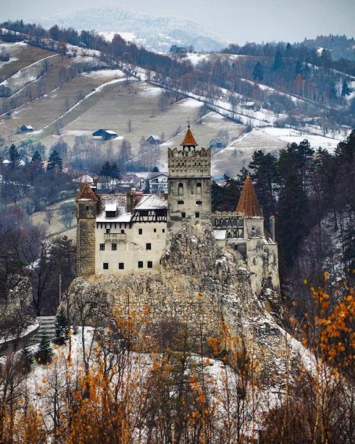 Brasov: Bear Sanctuary, Bran Castle & Rasnov Fortress Tour - Key points at a glance