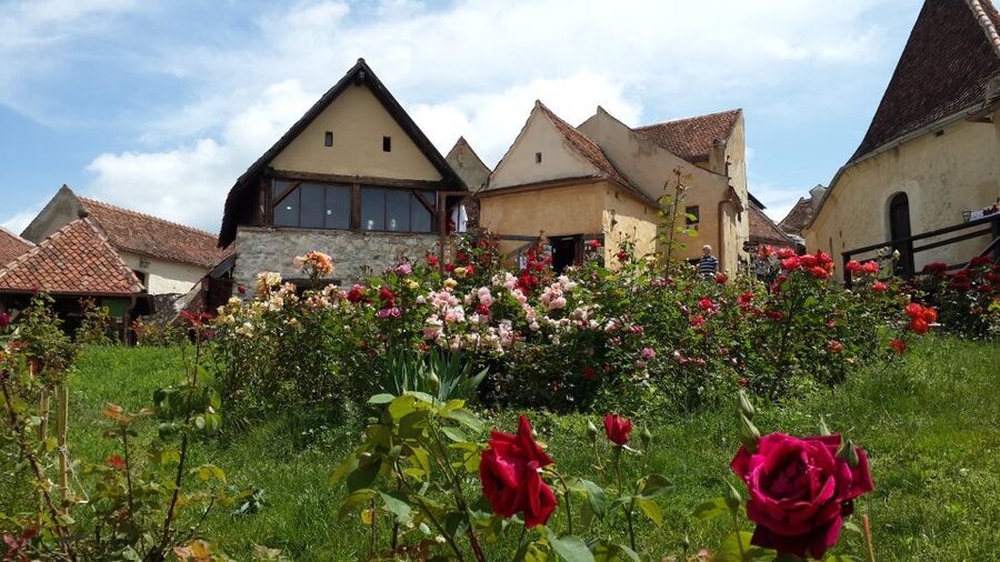 Brasov: Bear Sanctuary, Bran Castle & Rasnov Fortress Tour - Bran Castle beyond the Dracula label