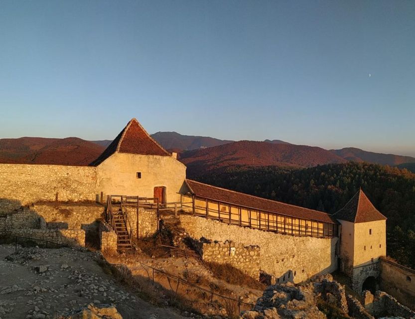 Brasov: Bear Sanctuary, Bran Castle & Rasnov Fortress Tour - Who will get the most from this day