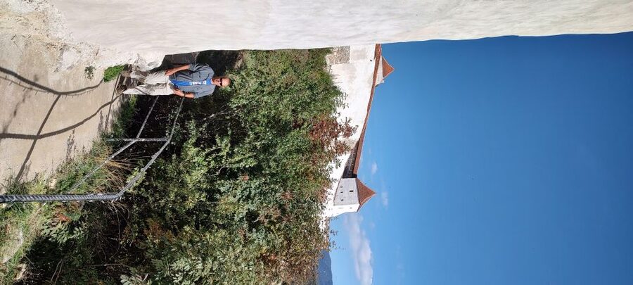 Brasov: Bear Sanctuary, Bran Castle & Rasnov Fortress Tour - Should you book this Brasov tour?