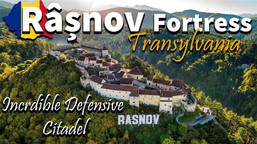 Brasov: Bear Sanctuary, Dracula Castle, and Râşnov Fortress - Who should book this experience?