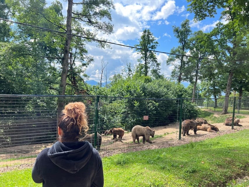 Brasov: Bran Castle, Bear Sanctuary, Rasnov (Peles Optional) - Why the bear sanctuary changes the tone of the day
