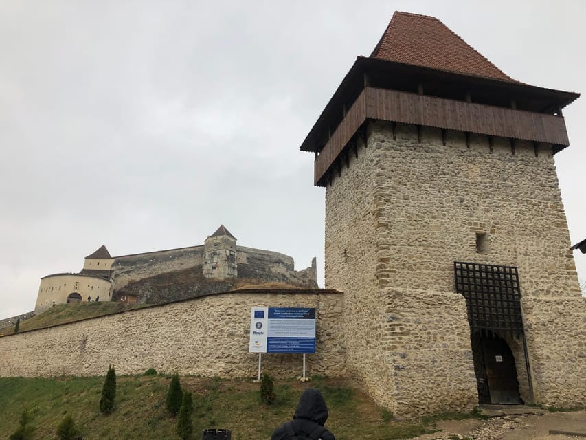Brasov: Bran Castle, Bear Sanctuary, Rasnov (Peles Optional) - Who should book this Brasov day trip?