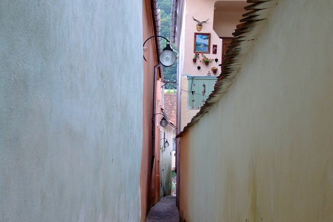 Brasov City Guided Walking Tour for Small Group - The Black Church, Brasov’s Gothic centerpiece
